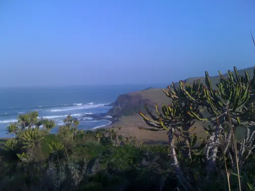 Photo 90 from Africa – More photos