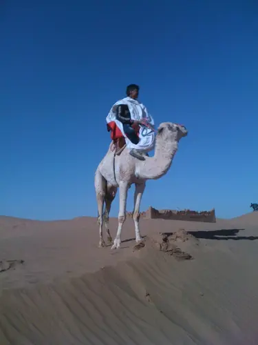 Photo 111 de Maroc