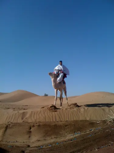 Photo 113 de Maroc