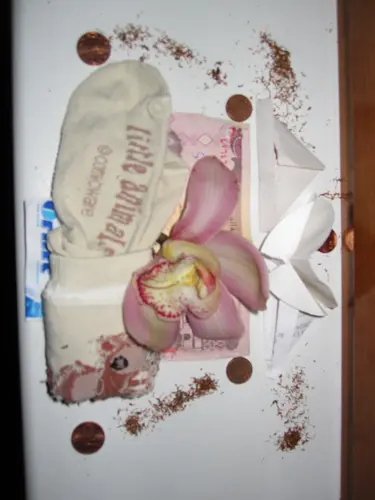 Foto 25 aus Zu Hause (2008–2010)