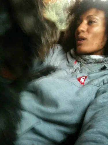 Photo 2 from Cats, Dogs & Houses
