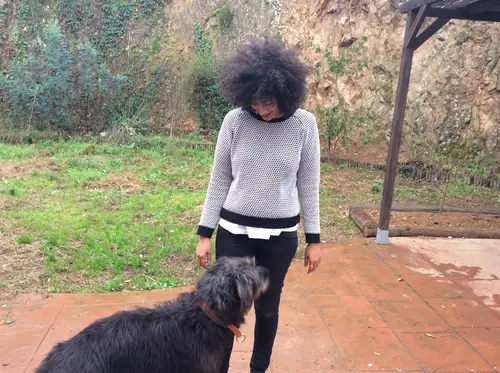 Photo 6 from Cats, Dogs & Houses