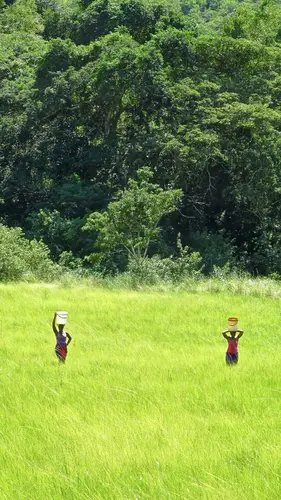 Photo 225 from Africa – More photos
