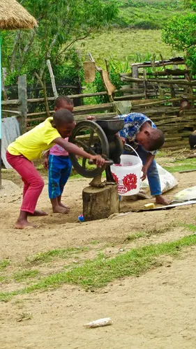 Photo 254 from Africa – More photos