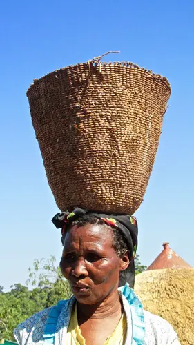 Photo 256 from Africa – More photos