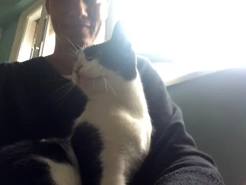 Photo 54 from Cats, Dogs & Houses