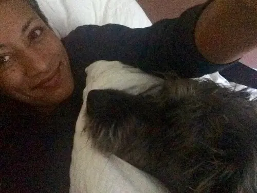 Photo 65 from Cats, Dogs & Houses