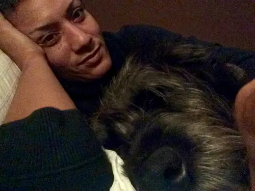Photo 66 from Cats, Dogs & Houses