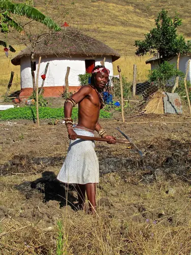 Photo 324 from Africa – More photos