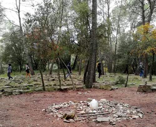 Foto 110 da 2019–2021