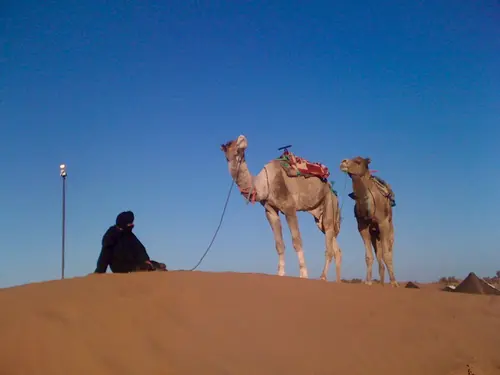 Photo 143 de Maroc